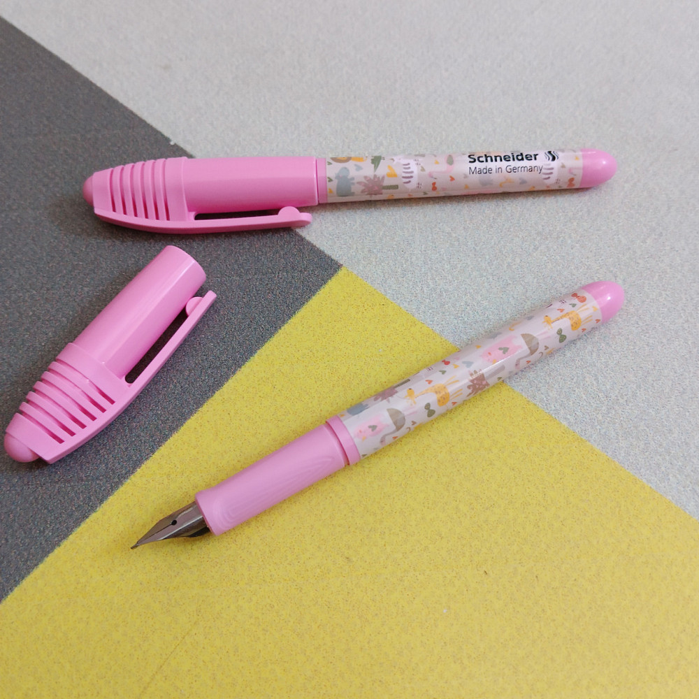 Ручка чорнильна Schneider відкрите перо і 4 капсули Київ - фото 2