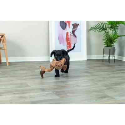 Игрушка для собак Trixie Гриф Густав Ткань и плюш 24 см (4011905359113) Винница