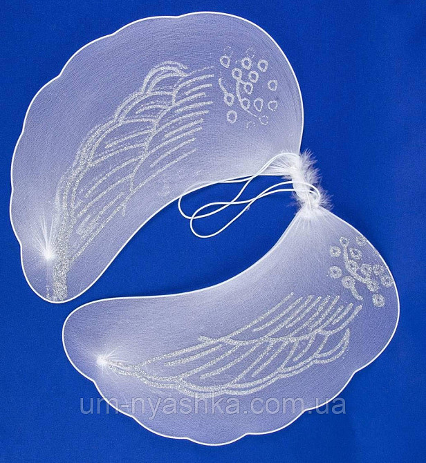 Крила Ангела 48*35 Кривий Ріг - фото 1