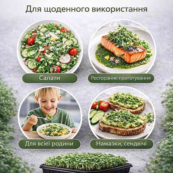 Набір для вирощування мікрозелені 15 культур "Суперфуд XL" з контейнерами та інструкцією (повний комплект) Харків