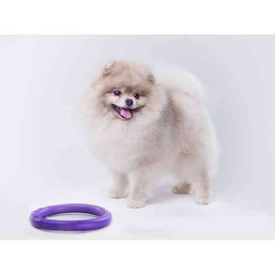 Тренувальний снаряд для собак PULLER Micro, діаметр 12,5 см Вінниця