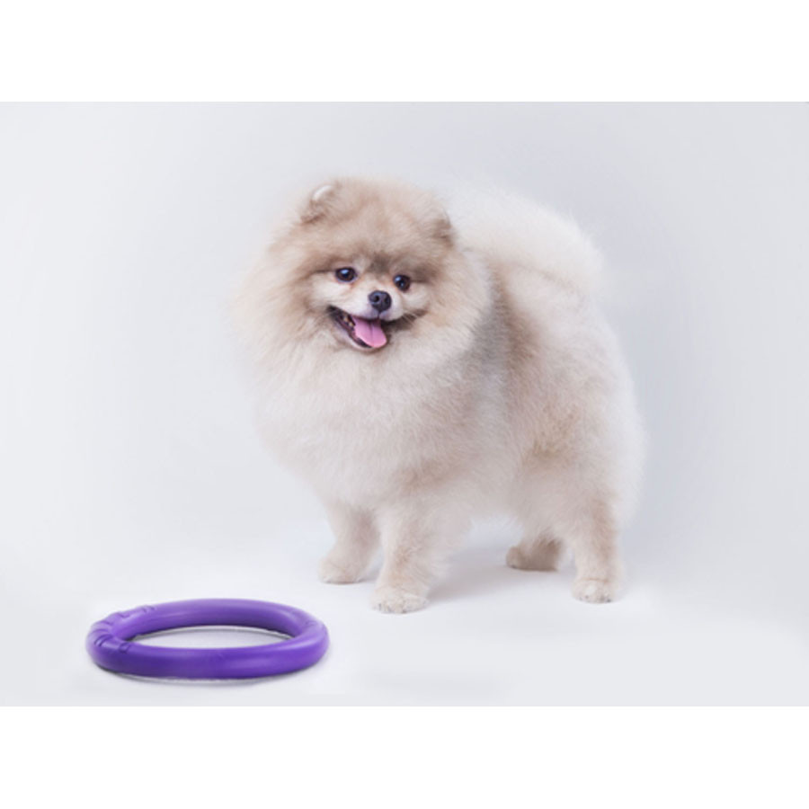 Тренувальний снаряд для собак PULLER Micro, діаметр 12,5 см Вінниця - фото 4