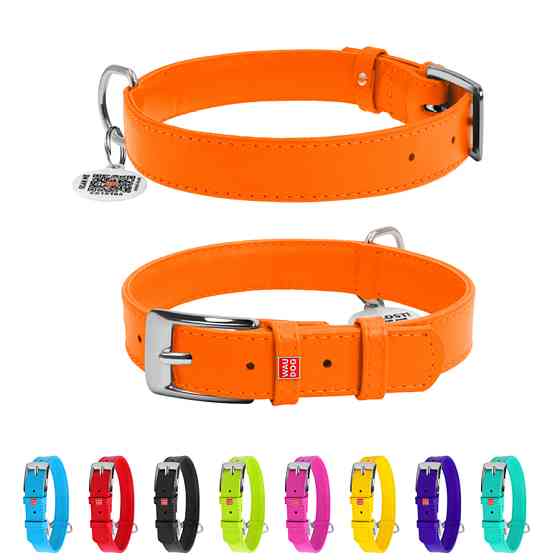 Нашийник для собак шкіряний WAUDOG Glamour з QR паспортом, без прикрас, L, Ш 25 мм, Дов 38-49 с Коломыя