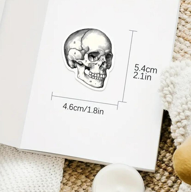 Анатомические наклейки 