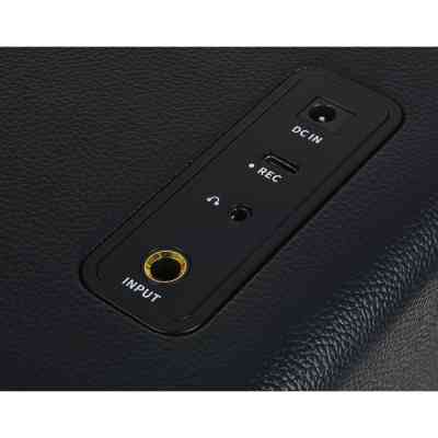 Комбопідсилювач Mooer Hornet 15i Black Вінниця