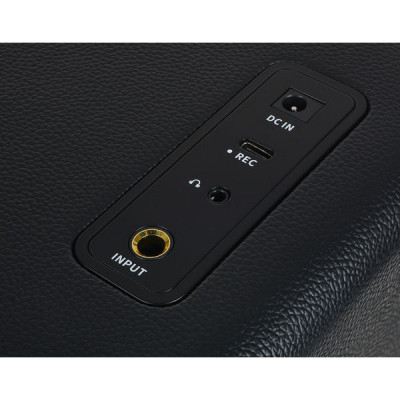 Комбопідсилювач Mooer Hornet 15i Black Вінниця - фото 4