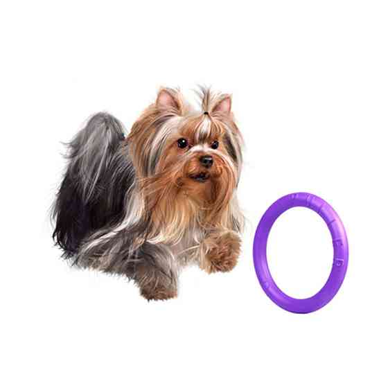 Тренувальний снаряд для собак PULLER Mini, діаметр 18 см Вінниця