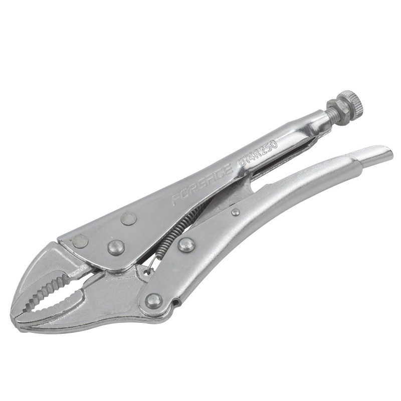 Кліщі зажимні гейферні "прямий захват" 10''-250мм Forsage F-614R250 Одеса - фото 1