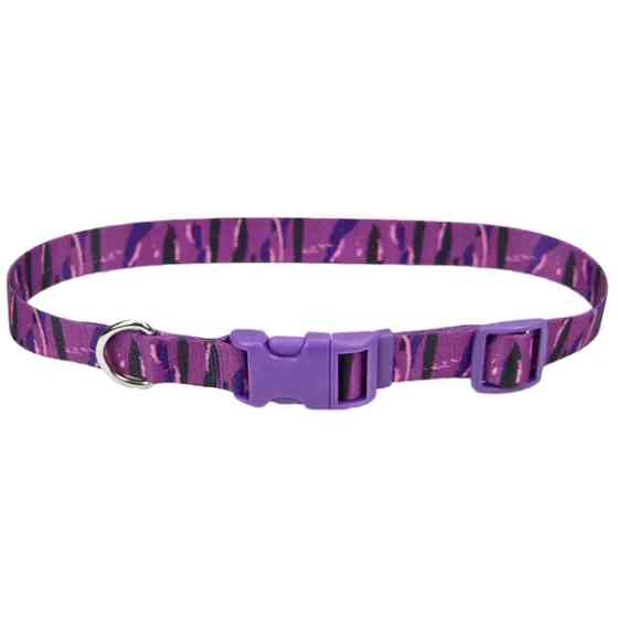 Coastal Pet Attire Styles КОСТАЛ СТАЙЛС ошейник для собак, 2х35-50см Киев