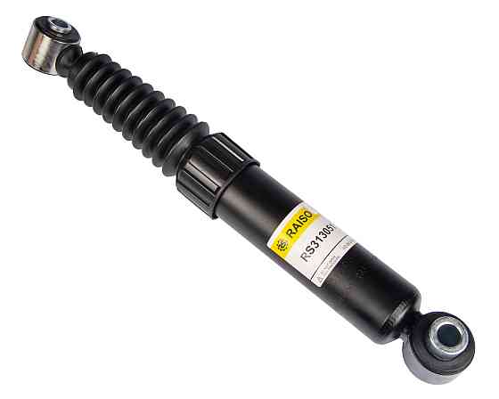 Амортизатор задній Raiso (Швеція) Peugeot 206/206+, Пежо 206/206+ 98- #RS313051 UAXFSIF22 Ковель
