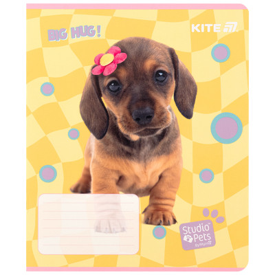 Тетрадь Kite Studio Pets, 12 листов, клетка (SP25-232) Винница - изображение 7
