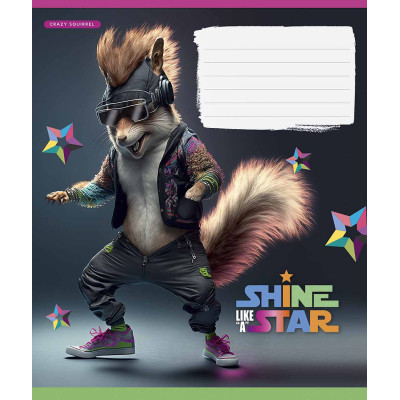 Тетрадь Школярик Dance star 18 листов линия (018-3276L) Винница - изображение 4