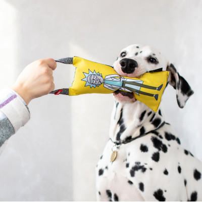 Игрушка для собак WAUDOG Fun "Рик и Морти 2" с пискавкой S (629-0281) Винница - изображение 4