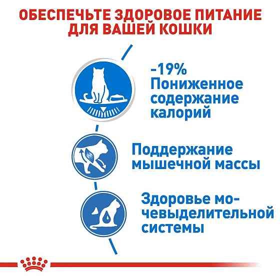 Роуал Canin Ultra Light Gravy (Роял Канін Ультра Лайт Кер) вологий корм для котів, який важить понад 12 місяців 0,05 кілограма. Запоріжжя