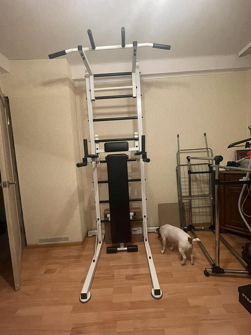 Шведська стінка для хлопчика дітей та дорослих до 120 кг спорткомплекс будинку металевий для квартири куточок Кам'янське - фото 3