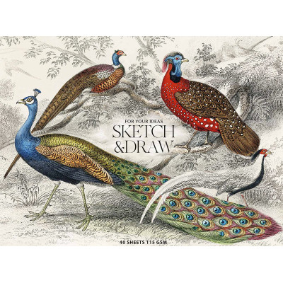 Альбом для малювання Школярик для ескізів та малювання, MUSE А5 40 аркушів 115г/м2 (PB-GB-040-068) Вінниця - фото 1