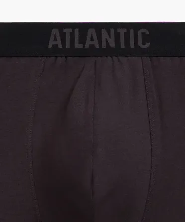 Мужские трусы Atlantic хлопок. Набор 5 шт. 5SMH-004 S Киев