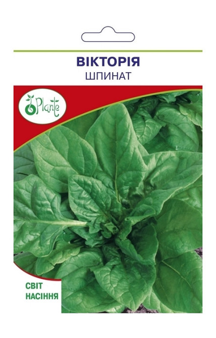 Насіння Шпінату Вікторія Київ - фото 1