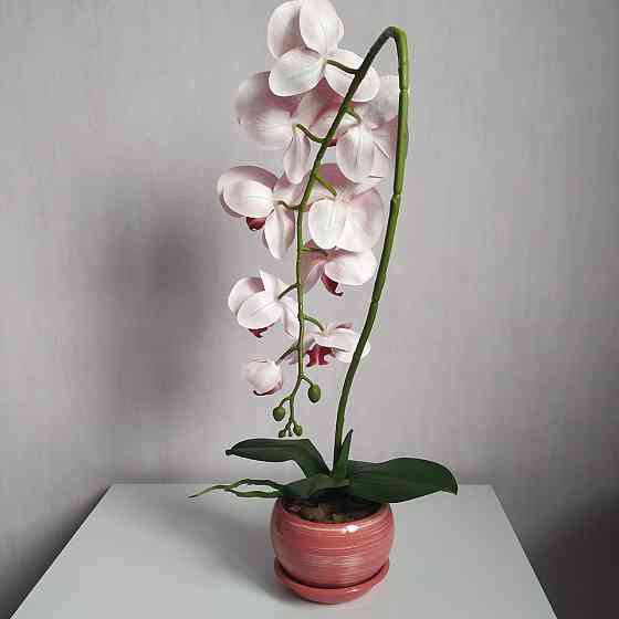 Штучна латексна орхідея VIP в рожевому керамічному кашпо на одну гілку біло-рожева Дніпро