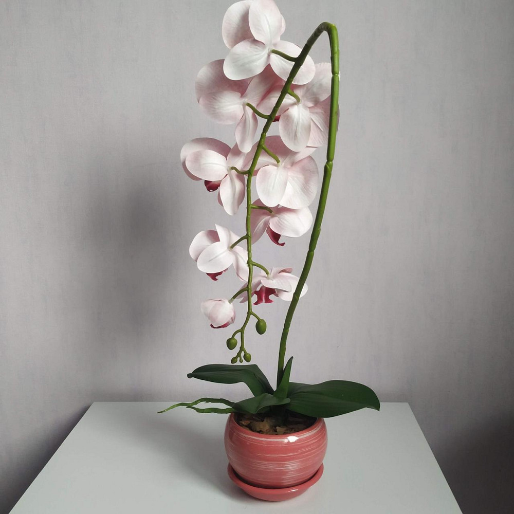 Штучна латексна орхідея VIP в рожевому керамічному кашпо на одну гілку біло-рожева Дніпро - фото 5