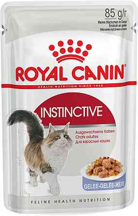 Royal Canin Instinctive Jelly (Роял Канін Інстинктив желе) вологий корм для дорослих кішок від 12 місяців 0.085 кг. х 12 шт. Запоріжжя