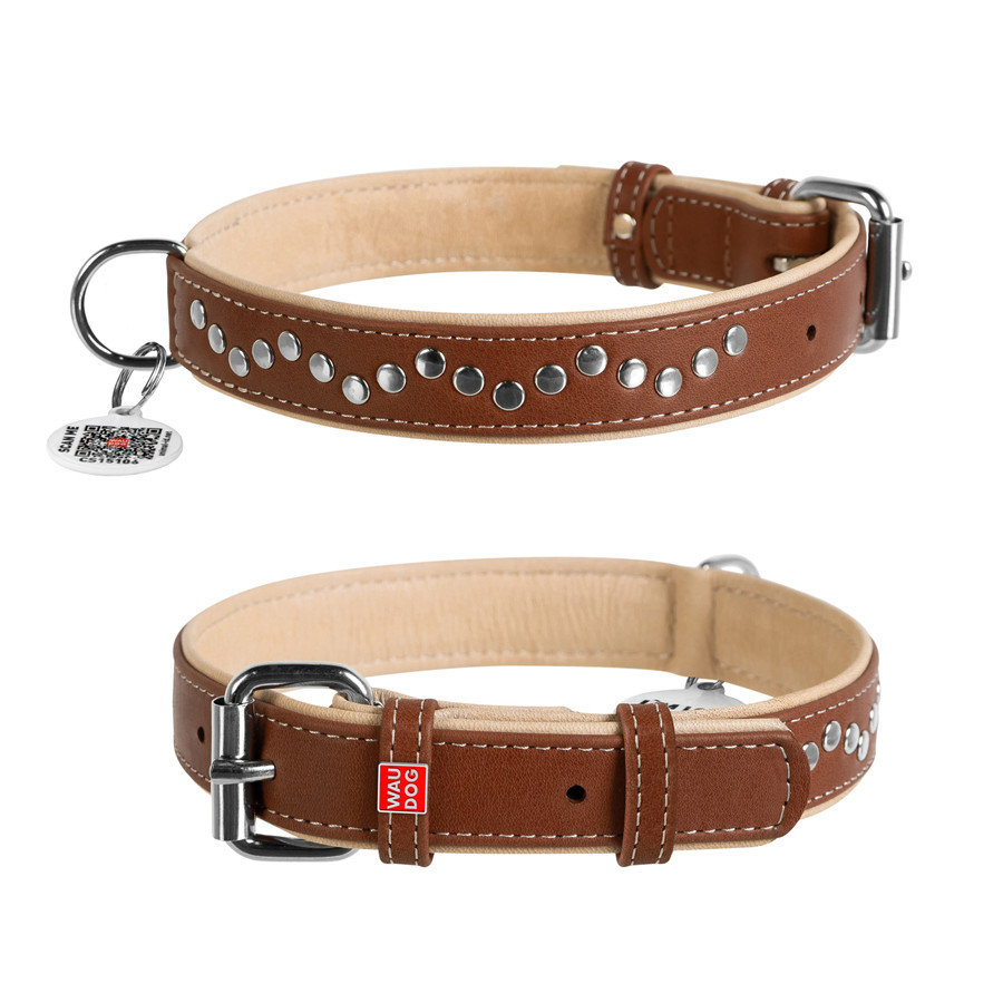 Нашийник для собак шкіряний WAUDOG Soft з QR паспортом, металічні прикраси, Ш 25 мм, Дов 38-49 Коломия - фото 1
