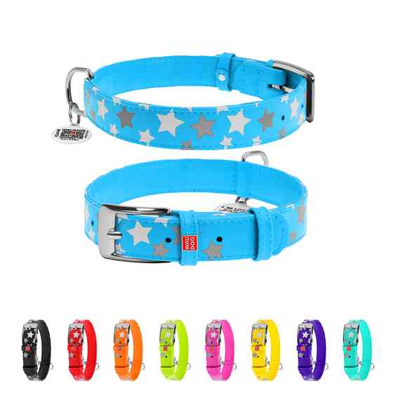 Нашийник для собак шкіряний WAUDOG Glamour з QR паспортом, візерунок "Зірочка", світлонакопичув Коломия