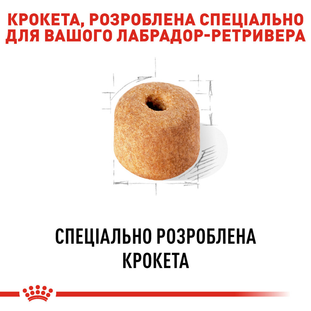 Корм для дорослих собак породи Лабрадор-ретривер ROYAL CANIN LABRADOR ADULT 12.0 кг Київ - фото 4