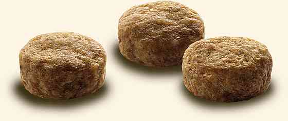 Сухий корм для дорослих котів Cat Chow Adult з качкою 1.5 кг Вінниця