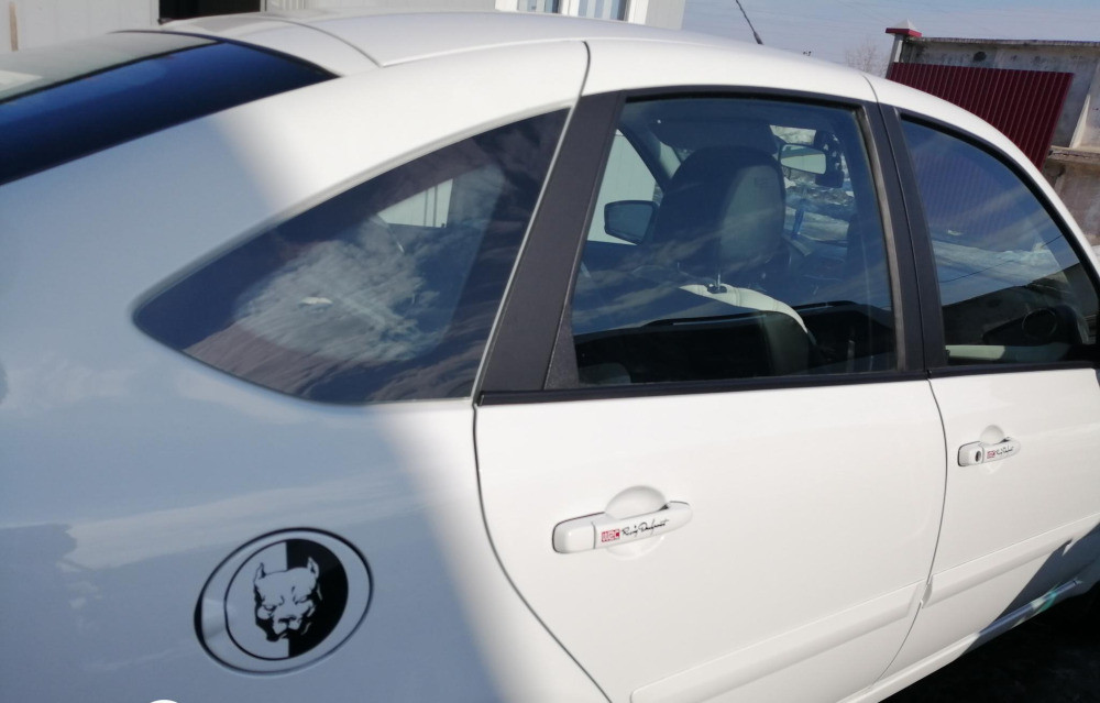 Наклейка на авто Питбуль Большая Чёрная Киев - изображение 3