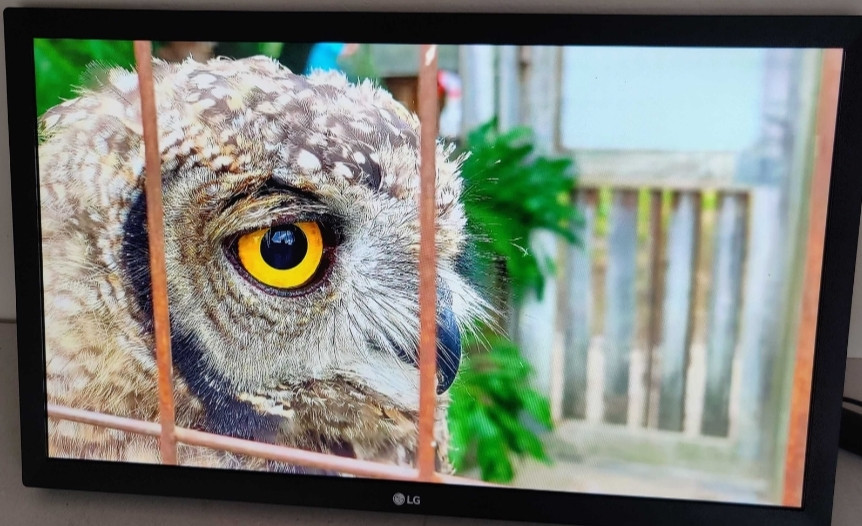 Монитор: 21.5" LG 22MK 430H- B- IPS , 75Hz.AMD ( 1920x1080) Full HD. Київ - фото 1