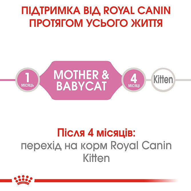Влажный корм (мусс) для котят в возрасте от 1 до 4 месяцев ROYAL CANIN MOTHER & BABYCAT Cans 0.195 кг Киев - изображение 3