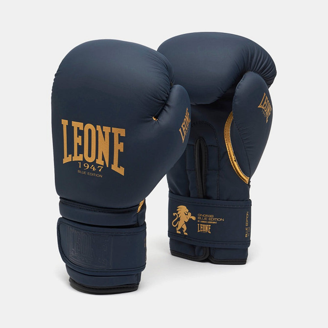 Боксерські рукавиці Leone GN059B Blue Edition 16 унцій (капу в комплекті) Каменское - изображение 2