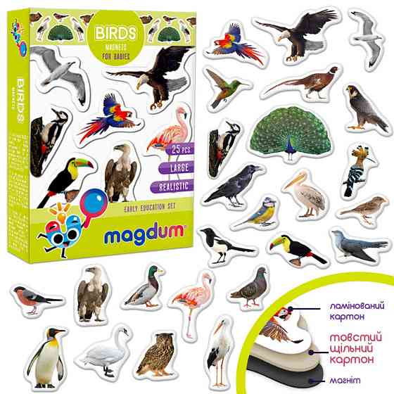 Дитячий набір магнітів Птахи фото Magdum ML4031-30 EN Вінниця