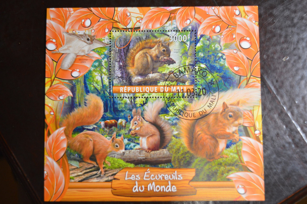 Мали. Марки. Фауна. Блок. 2020 год (В-1) Полтава - изображение 1