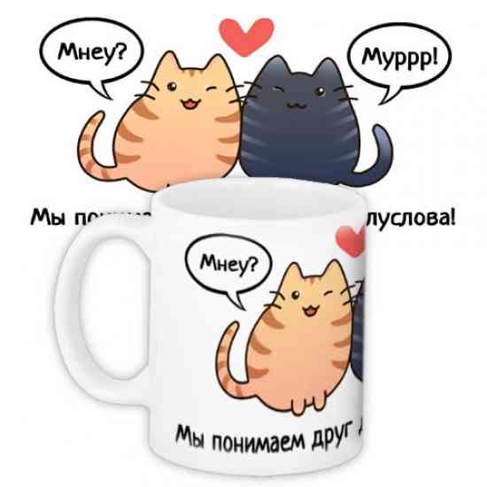 Чашка Ми розуміємо один одного з півслова Вінниця