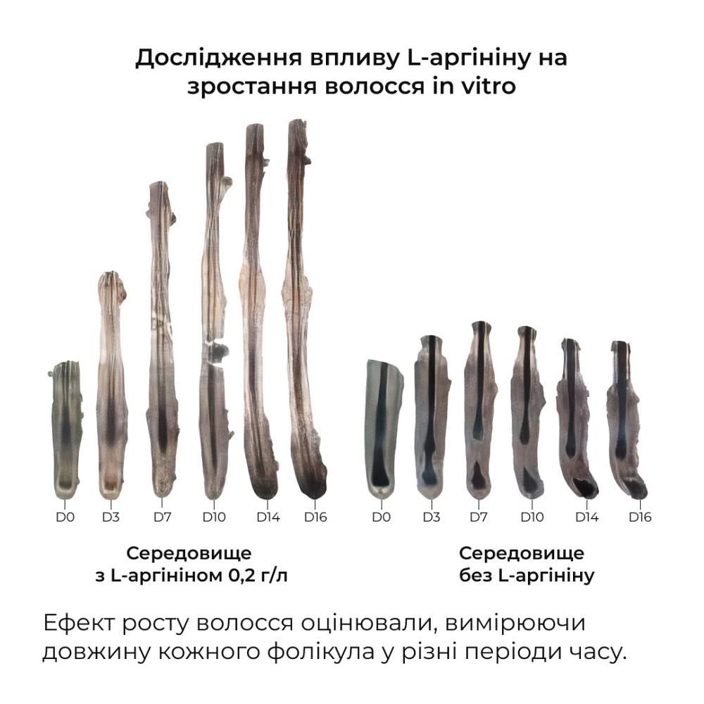 Шампунь та сироватка для волосся Concentrate Serenoa + кондиціонер проти випадіння волосся Київ - фото 8