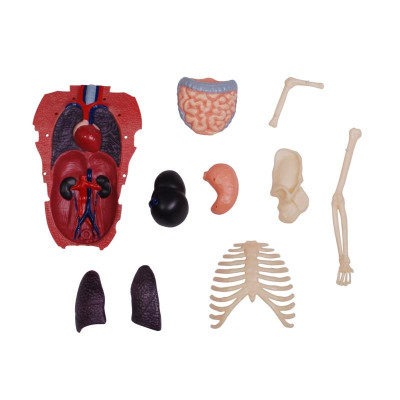 Пазл 4D Master Горила (FM-622012) Вінниця - фото 11