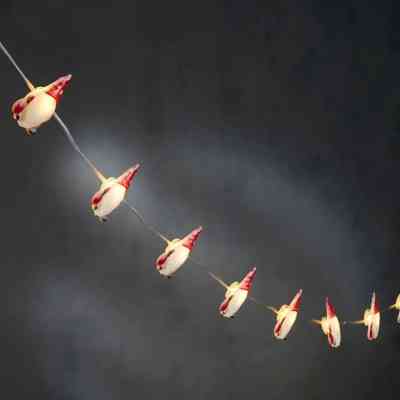 Гірлянда Luca Lighting Санта, струна, 1,3 м, класична біла, 10 LED 2AA, таймер (8720967822850) Вінниця