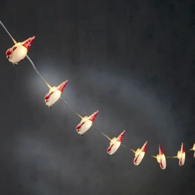 Гирлянда Luca Lighting Санта, струна, 1,3 м, класична біла, 10 LED 2AA, таймер (8720967822850) Винница - изображение 1