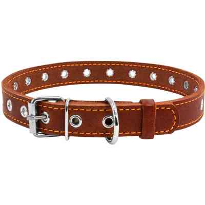 Нашийник для тварин Collar безрозмірний 20 мм 50 см (коричневий) (01516) Вінниця