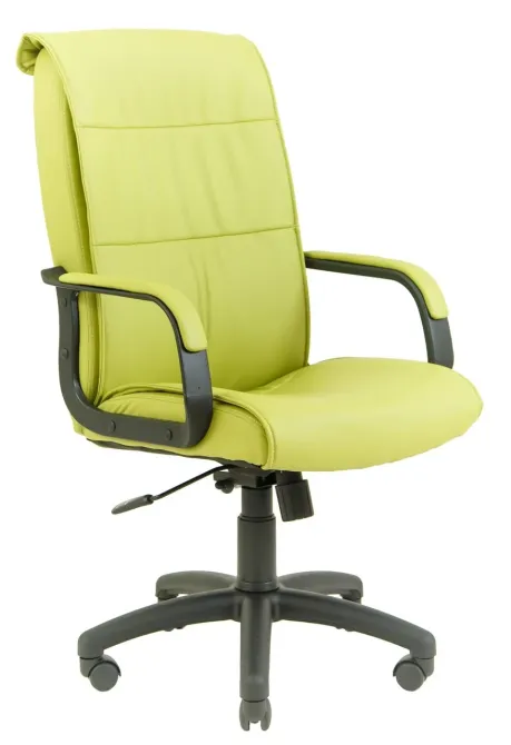 Офісне Крісло Керівника Richman Rio Fly 2234 Пластік Річ М3 MultiBlock Зелений Київ - фото 1