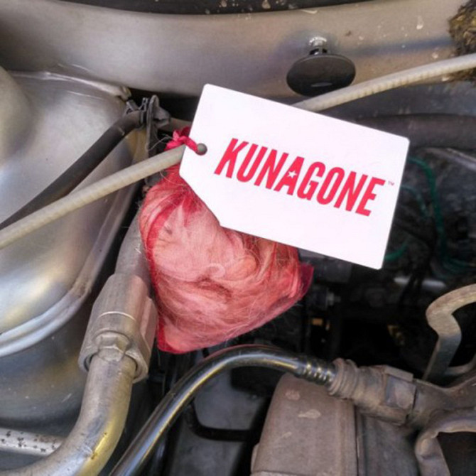 Отпугиватель куниц KUNAGONE Польша Киев - изображение 3
