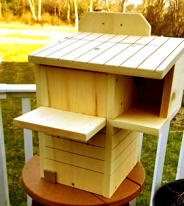 Будиночок для білок "Чилім" каррі Миколаїв - фото 2