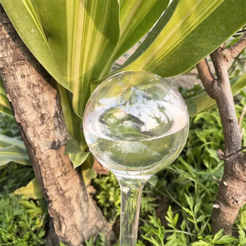 Колба для автоматического полива | Вазон в виде шара для сада, 3шт, капельный автополив, 8×25см прозрачный Каменец-Подольский - изображение 2