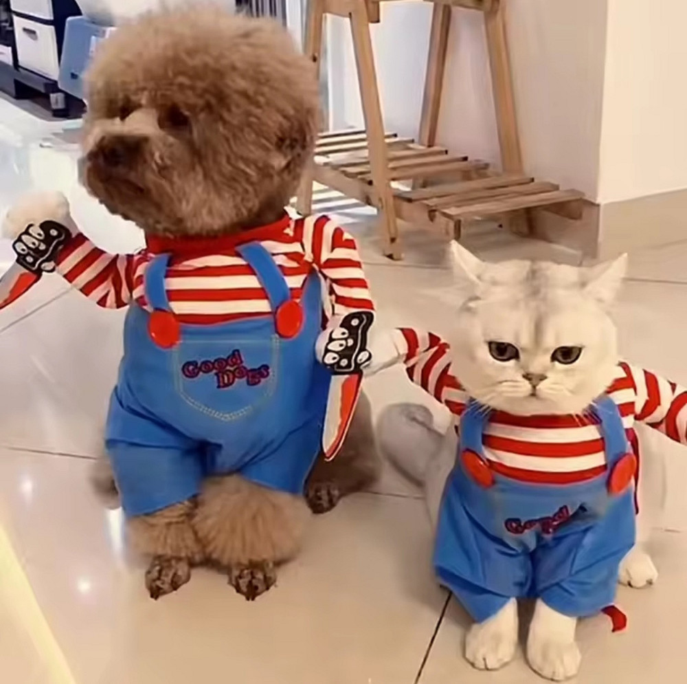 Костюм для собак і котів Чакі М на Хелловін різнокольоровий Київ - фото 7