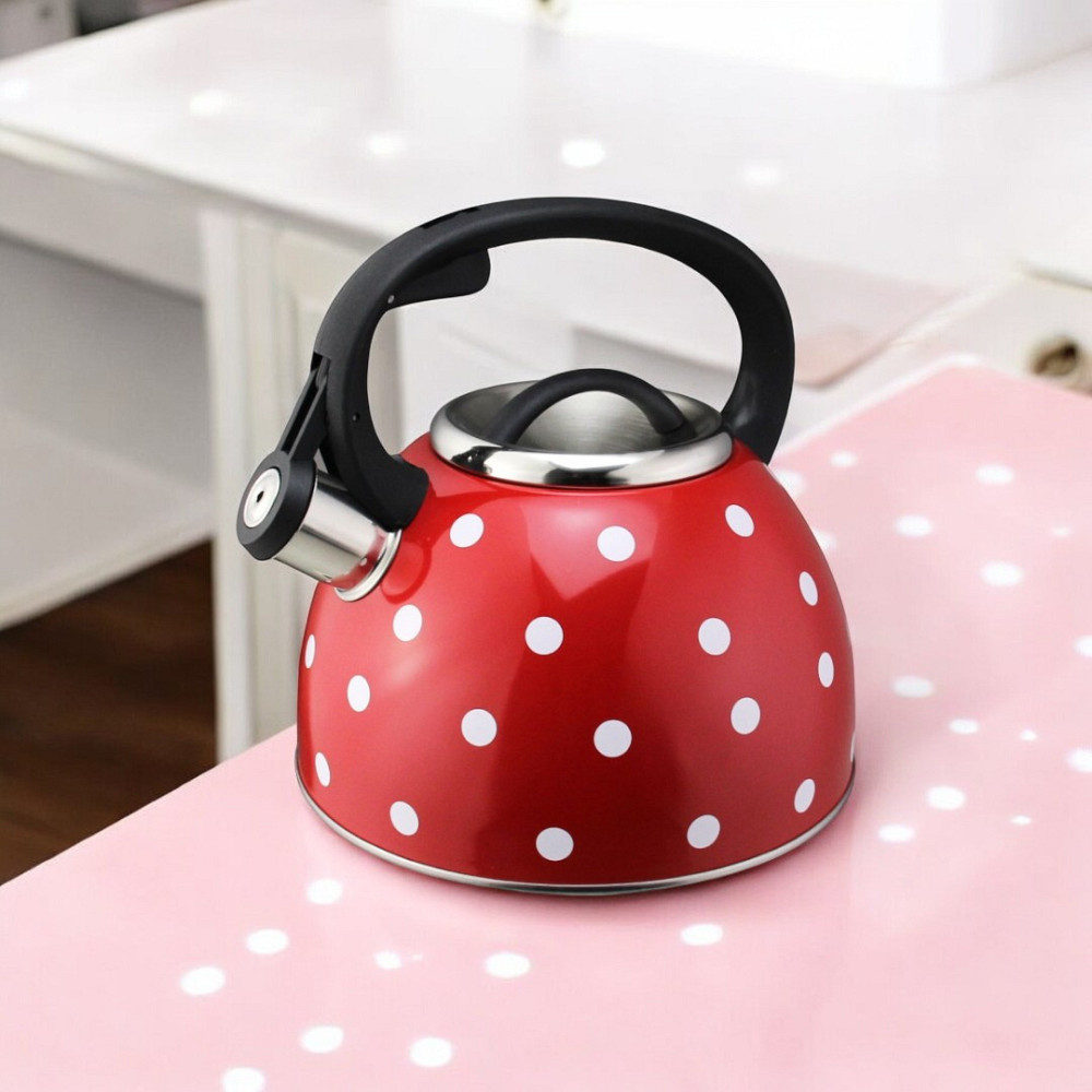 Чайник із свистком UNIQUE UN-5301 2.50 л Одеса - фото 1