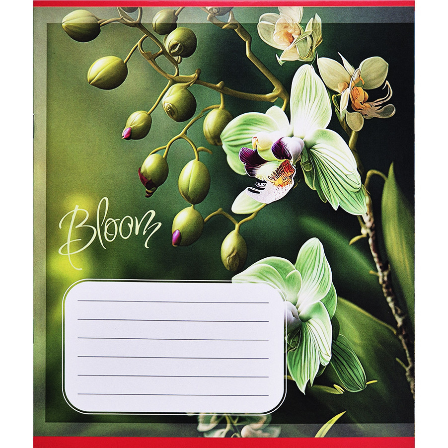 Тетрадь ученическая 