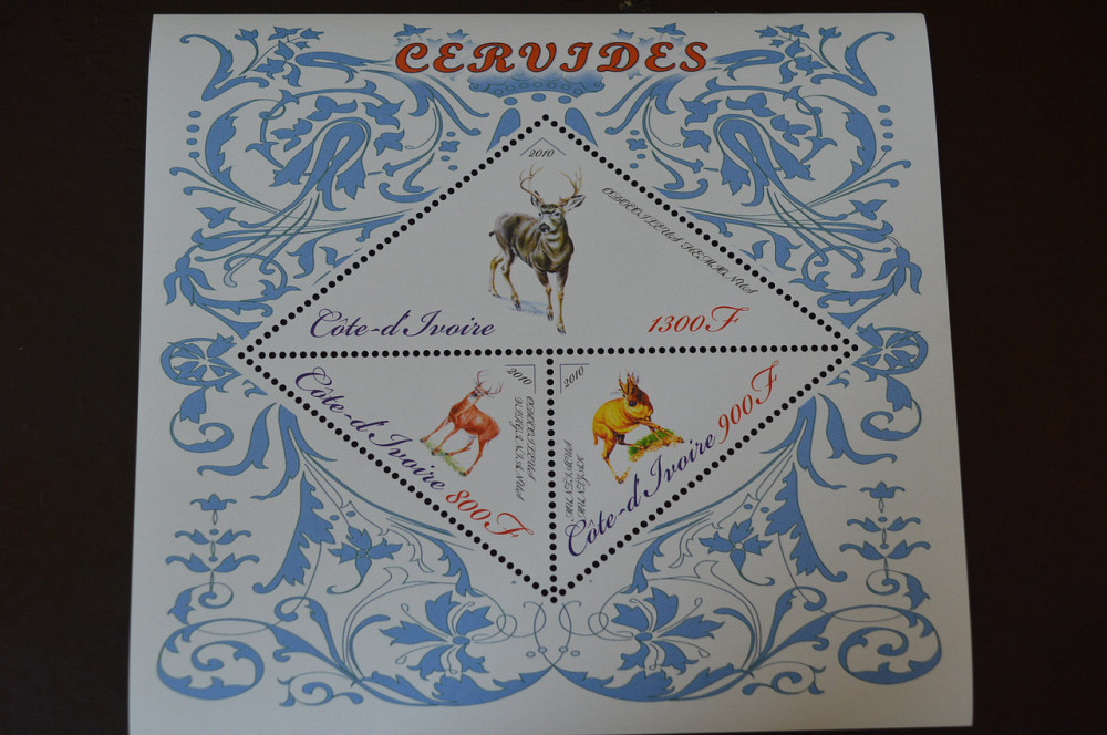 Марки. Фауна. Блок. 2010 рік (А-31) Полтава - изображение 1