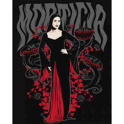 Картина по номерам Santi Wednesday Morticia Addams 40х50 см (954423) Винница